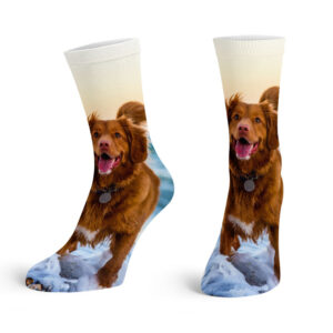 Dog Photo Socks